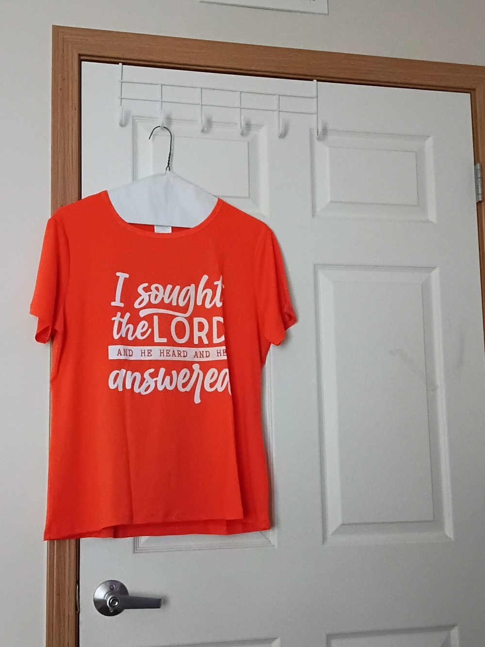 Source Unknow(2)Orange Graphic Tee - "I sought the LORD" Size 2,XL